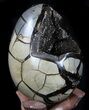 Septarian Dragon Egg Geode - Shiny Black Crystals #36048-5